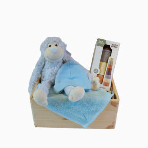 Gevulde Kist Blauw Aapje